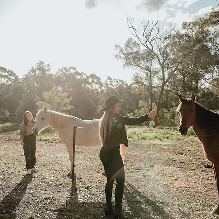 Hunter Valley Retreat Quorrobolong Екстериор снимка