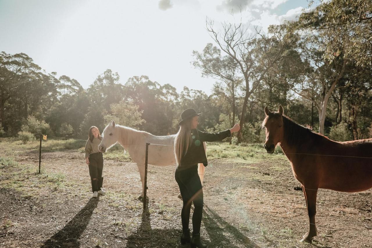 Hunter Valley Retreat Quorrobolong Екстериор снимка