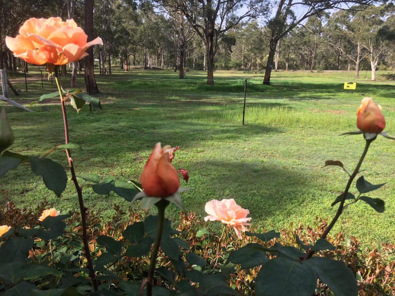 Hunter Valley Retreat Quorrobolong Екстериор снимка