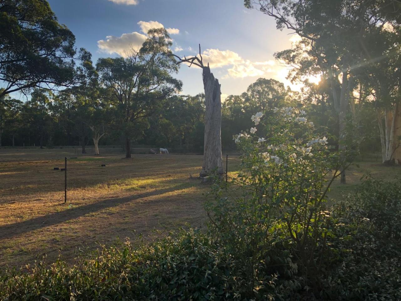 Hunter Valley Retreat Quorrobolong Екстериор снимка